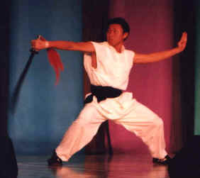 Martial arts with sword