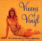 Vixens of Vinyl book cover